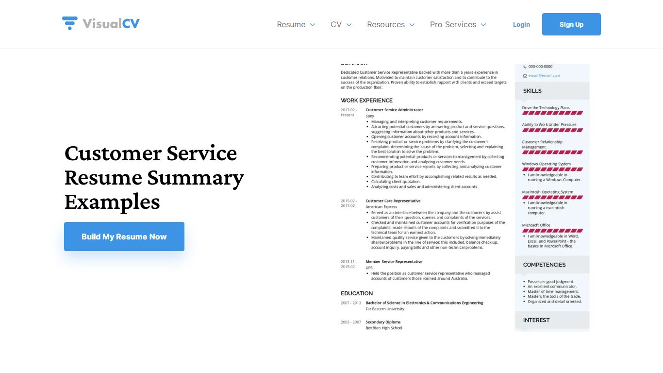 Customer Service Resume Summary Examples - VisualCV